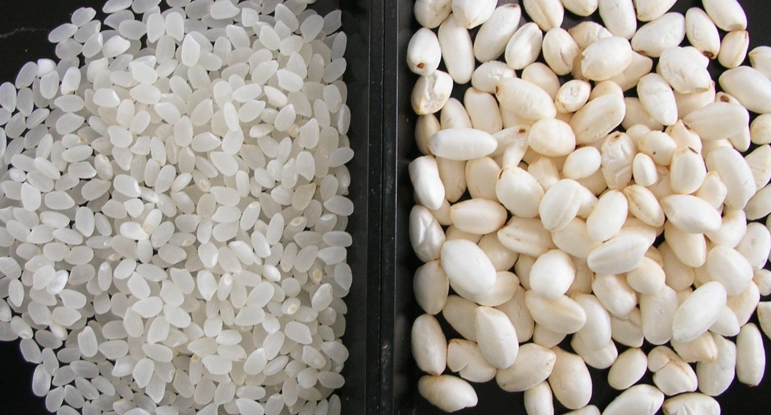 白米パフ 1kｇ ポン菓子 甘味料無し 国内産 シリアル食品 健康米のコダマオンラインショッピング