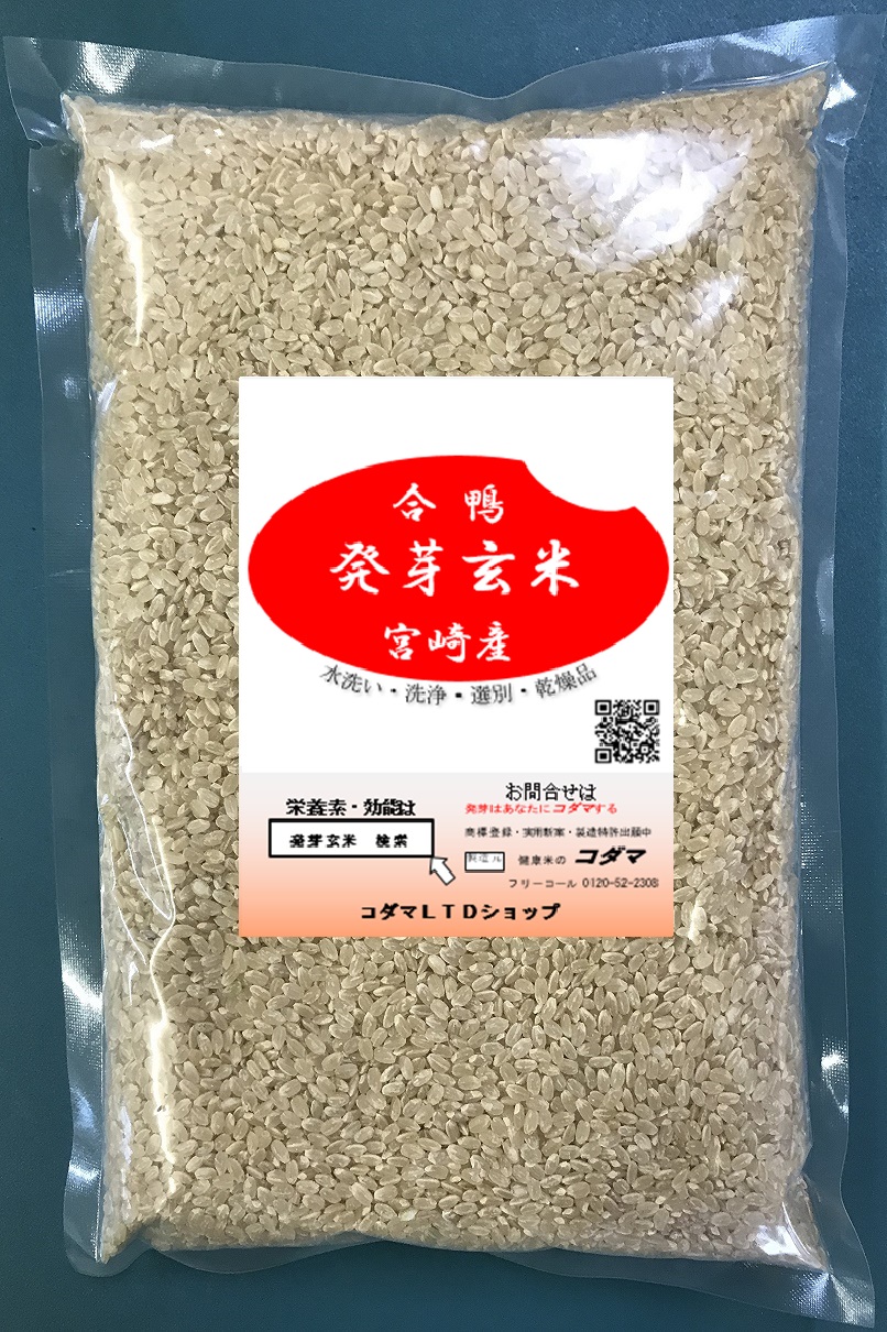 発芽玄米 500g 合鴨栽培米 宮崎綾産 海風保管 健康米のコダマオンラインショッピング
